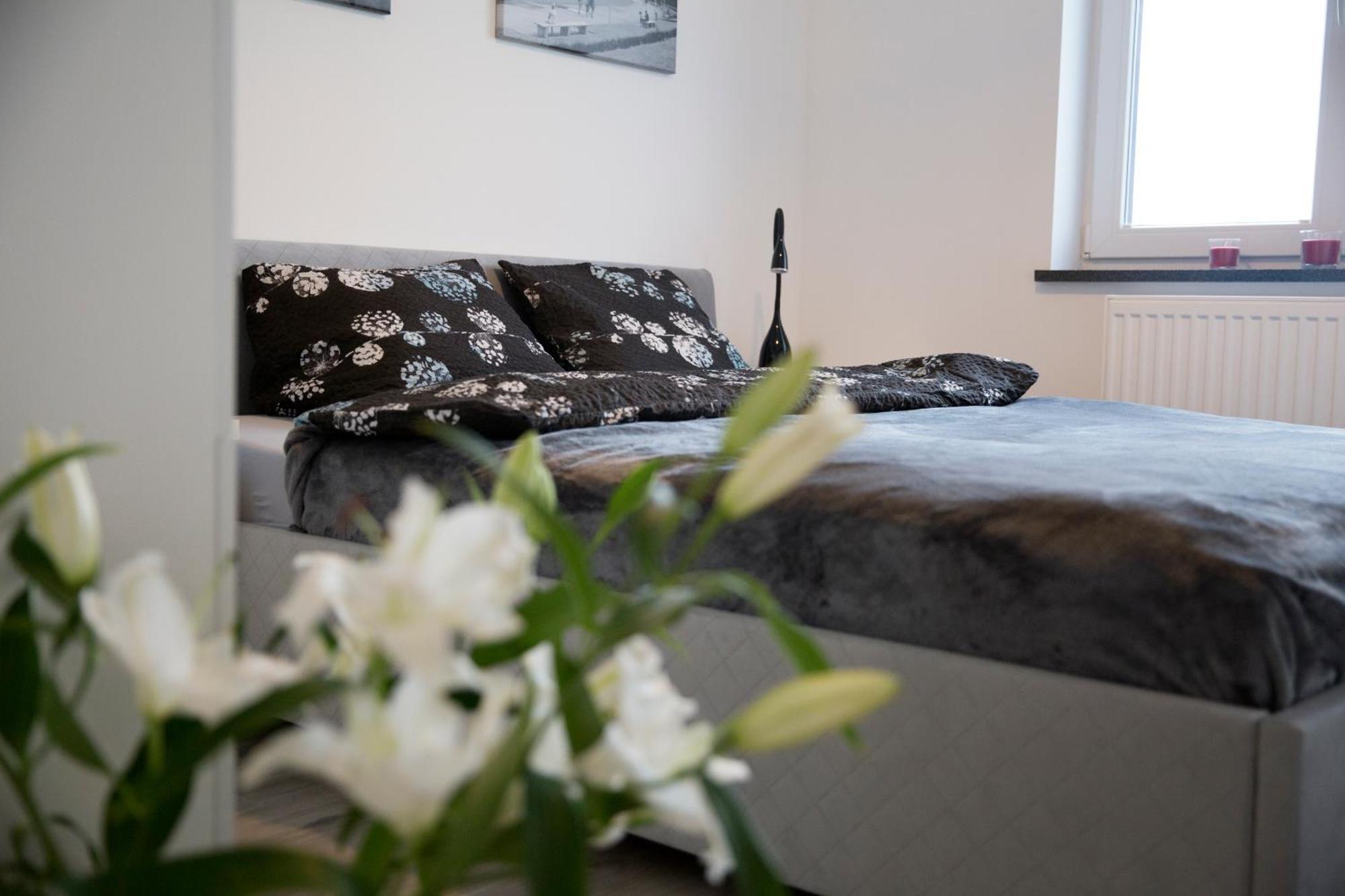 Apartament 102 G&W Lägenhet Wrocław Exteriör bild